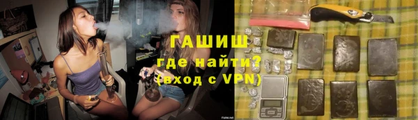 индика Алзамай