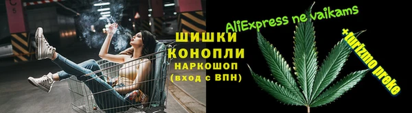 индика Алзамай