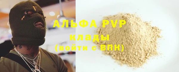 гашик Алексин