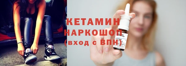 гашик Алексин