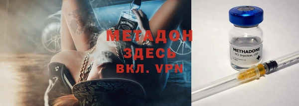 гашик Алексин