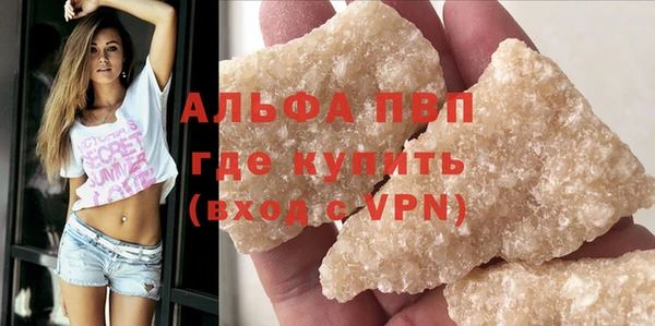 гашик Алексин