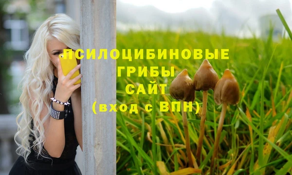 2c-b Алексеевка