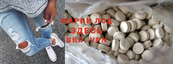 индика Алзамай
