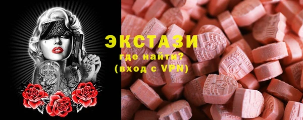 гашик Алексин