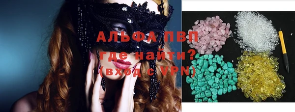 гашик Алексин